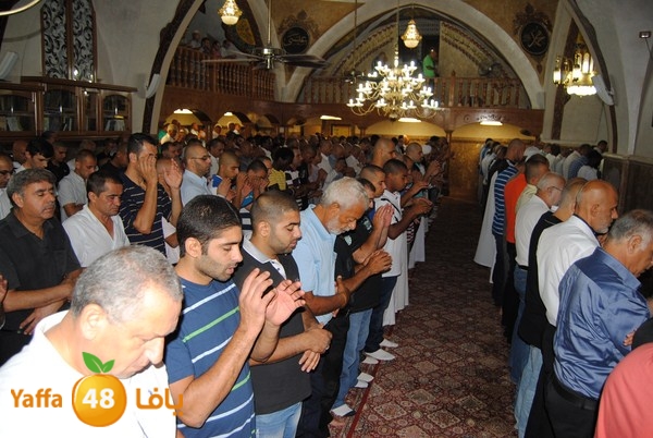 mahmoduia 3eed 808 (20).JPG